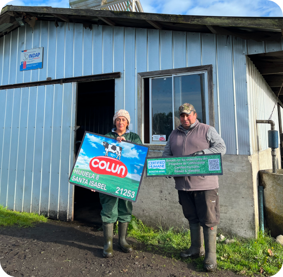 Cooperador certificado