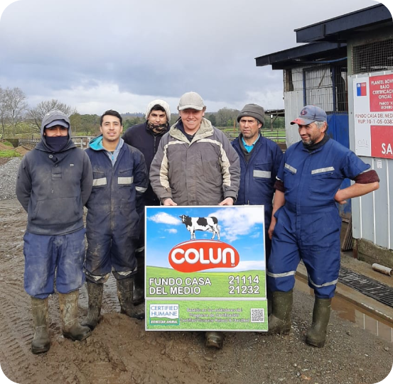 Cooperador certificado