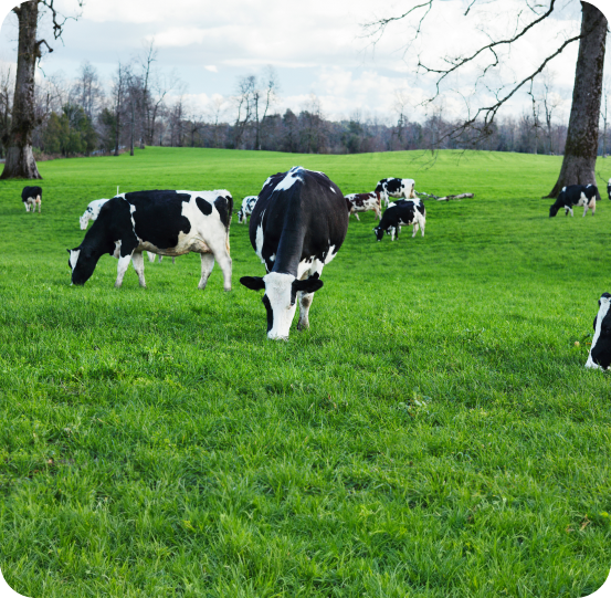 Cooperador certificado