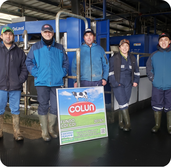 Cooperador certificado